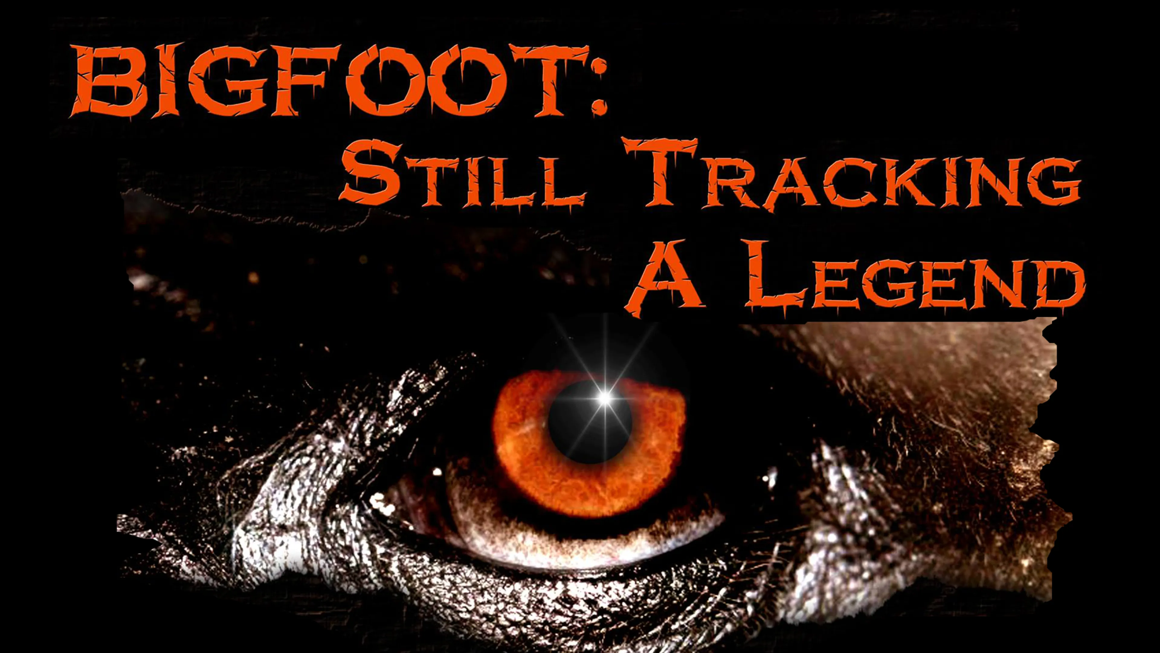 Bigfoot: Still Tracking A Legend poster